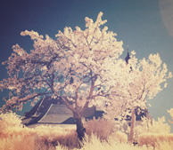 网络ddos攻击软件